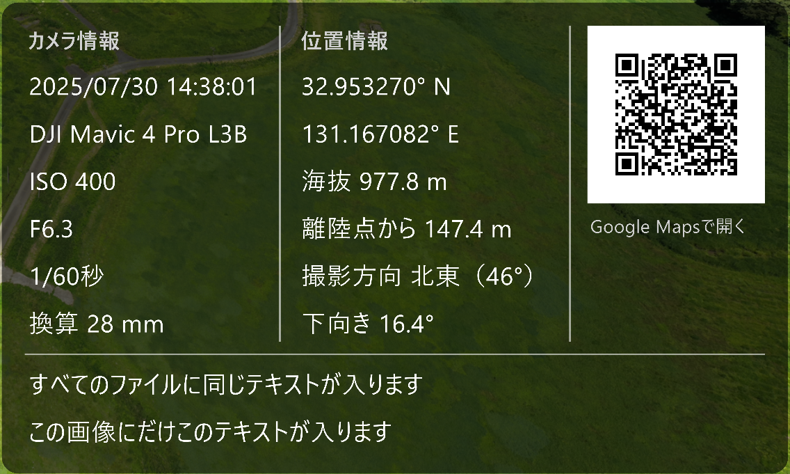 タグの下に、全ファイル共通のメモと、その画像だけのメモを入れた例